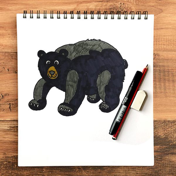 How to draw a grizzly bear (front view) - Sketchok easy drawing guides