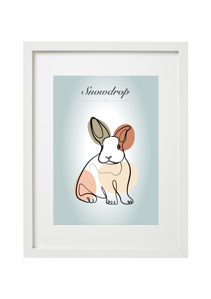 Personalised Rabbit Cartoon Drawing
