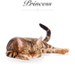 Personalised Cat Cartoon Drawing
