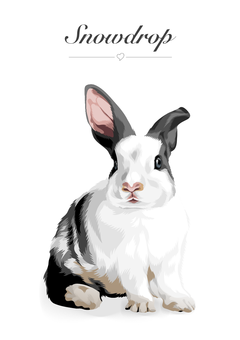 Personalised Rabbit Cartoon Drawing